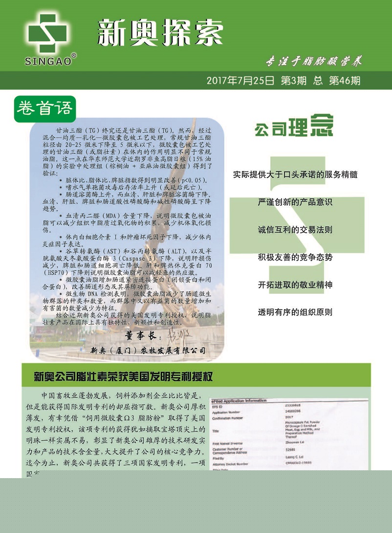 新澳门王中王100%期期中大全，全面释义、专家解答解释落实