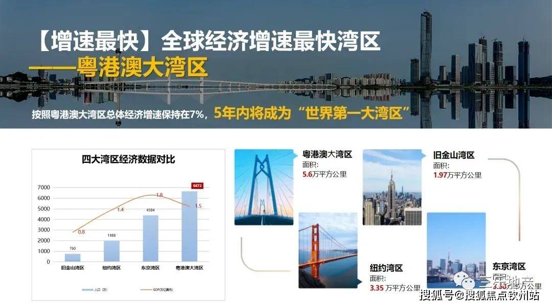 新门内部免费资料大全全面释义、构建解答解释落实